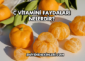 C Vitamini Faydaları Nelerdir?
