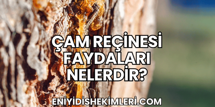 Çam Reçinesi Faydaları Nelerdir?