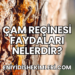 Çam Reçinesi Faydaları Nelerdir?