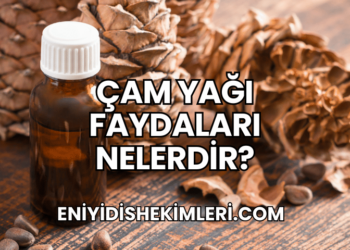 Çam Yağı Faydaları Nelerdir?