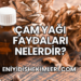 Çam Yağı Faydaları Nelerdir?