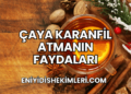 Çaya Karanfil Atmanın Faydaları