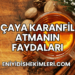 Çaya Karanfil Atmanın Faydaları