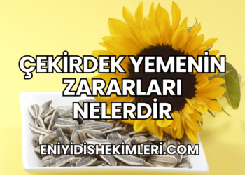 Çekirdek Yemenin Zararları Nelerdir