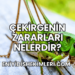 Çekirgenin Zararları Nelerdir?