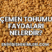 Çemen Tohumu Faydaları Nelerdir?