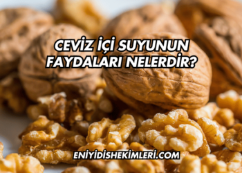 Ceviz İçi Suyunun Faydaları Nelerdir?