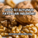 Ceviz İçi Suyunun Faydaları Nelerdir?