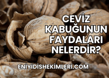 Ceviz Kabuğunun Faydaları Nelerdir?