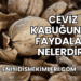 Ceviz Kabuğunun Faydaları Nelerdir?