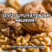 Ceviz Suyu Faydaları Nelerdir?