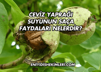 Ceviz Yaprağı Suyunun Saça Faydaları Nelerdir?
