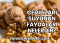 Ceviz Zarı Suyunun Faydaları Nelerdir?