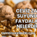 Ceviz Zarı Suyunun Faydaları Nelerdir?