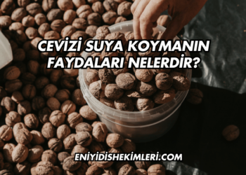 Cevizi Suya Koymanın Faydaları Nelerdir?