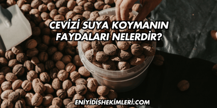 Cevizi Suya Koymanın Faydaları Nelerdir?