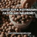 Cevizi Suya Koymanın Faydaları Nelerdir?