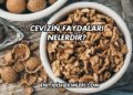 Cevizin Faydaları Nelerdir?