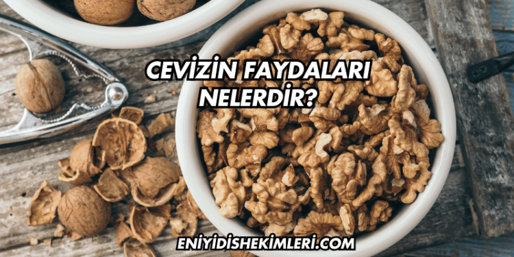 Cevizin Faydaları Nelerdir?