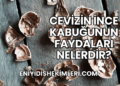 Cevizin İnce Kabuğunun Faydaları Nelerdir?