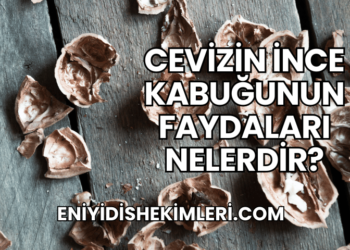Cevizin İnce Kabuğunun Faydaları Nelerdir?
