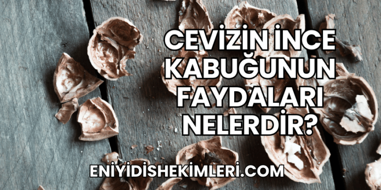 Cevizin İnce Kabuğunun Faydaları Nelerdir?