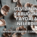 Cevizin İnce Kabuğunun Faydaları Nelerdir?