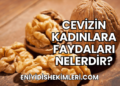 Cevizin Kadınlara Faydaları Nelerdir?