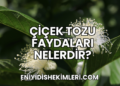 Çiçek Tozu Faydaları Nelerdir?