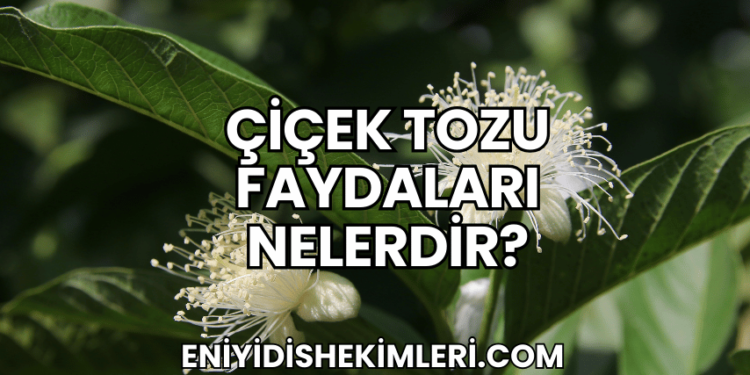 Çiçek Tozu Faydaları Nelerdir?