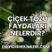 Çiçek Tozu Faydaları Nelerdir?