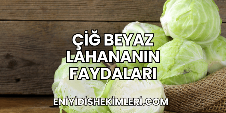 Çiğ Beyaz Lahananın Faydaları
