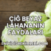 Çiğ Beyaz Lahananın Faydaları