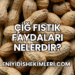 Çiğ Fıstık Faydaları Nelerdir?