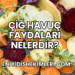 Çiğ Havuç Faydaları Nelerdir?