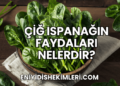 Çiğ Ispanağın Faydaları Nelerdir?