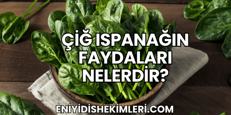 Çiğ Ispanağın Faydaları Nelerdir?