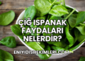 Çiğ Ispanak Faydaları Nelerdir?