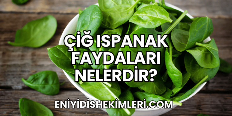 Çiğ Ispanak Faydaları Nelerdir?