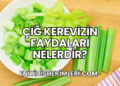Çiğ Kerevizin Faydaları Nelerdir?