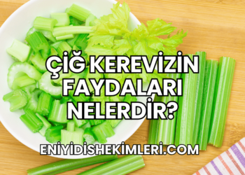 Çiğ Kerevizin Faydaları Nelerdir?