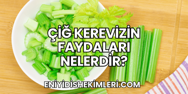 Çiğ Kerevizin Faydaları Nelerdir?