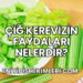Çiğ Kerevizin Faydaları Nelerdir?