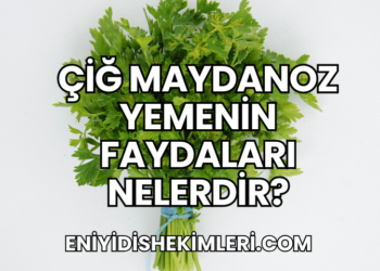Çiğ Maydanoz Yemenin Faydaları Nelerdir?