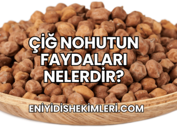 Çiğ Nohutun Faydaları Nelerdir?