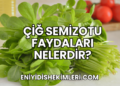 Çiğ Semizotu Faydaları Nelerdir?