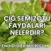 Çiğ Semizotu Faydaları Nelerdir?