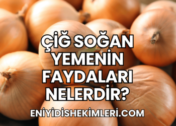 Çiğ Soğan Yemenin Faydaları Nelerdir?