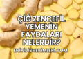 Çiğ Zencefil Yemenin Faydaları Nelerdir?