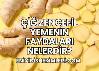 Çiğ Zencefil Yemenin Faydaları Nelerdir?